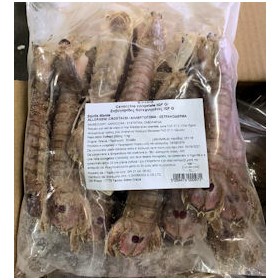 CANOCCHIE DI MARE IQF KG. 1 GELO